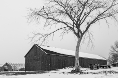 First Snow